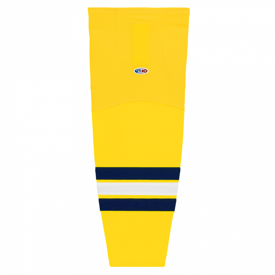 hs2100-590.png