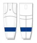 HS2100-489