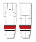 HS2100-528