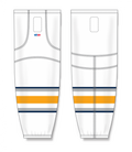 HS2100-811