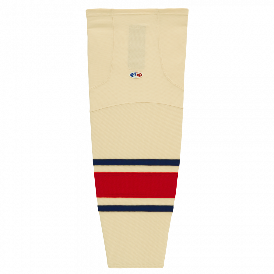 hs2100-513.png