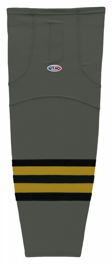 hs2100-748.png