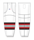 HS2100-611