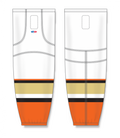 HS2100-539