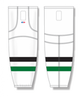 HS2100-377