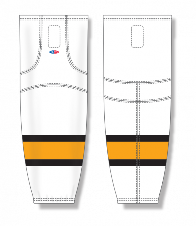 HS2100-301