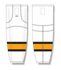 HS2100-301