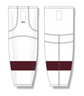 HS2100-481