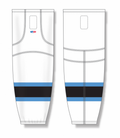 hs2100-781_feat.png