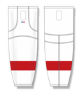 HS2100-203