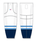 HS2100-667