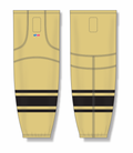 hs2100-282_feat.png