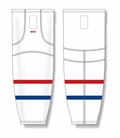 hs2100-309_feat.png