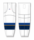 hs2100-847_feat.png