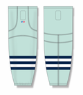 hs2100-421_feat.png