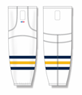 hs2100-767_feat.png