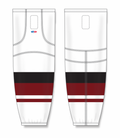 hs2100-583_feat.png