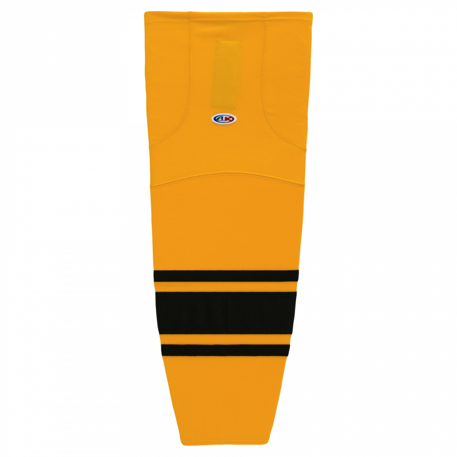 HS2100-213