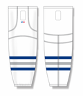 hs2100-455_feat.png
