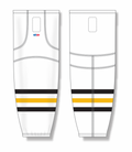 hs2100-353_feat.png