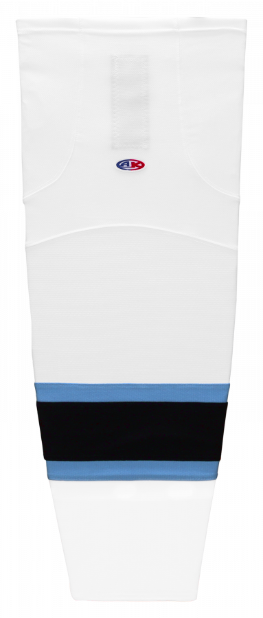hs2100-781.png
