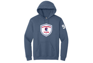 Alexandria MS Hockey - Cotton Blend Hoody