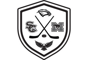 Hayfield HS Hockey